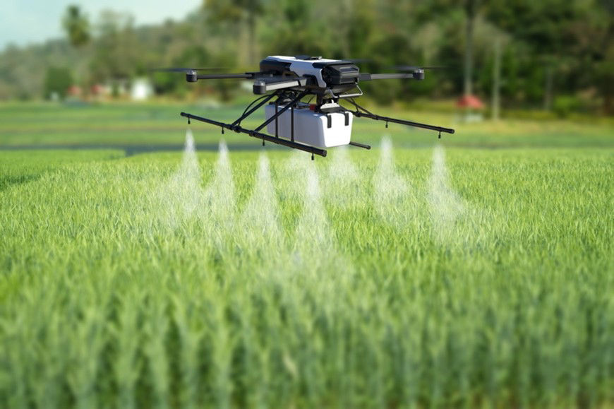 A black drone hovers just above a green field of healthy plants, spraying a solution down onto the crop."