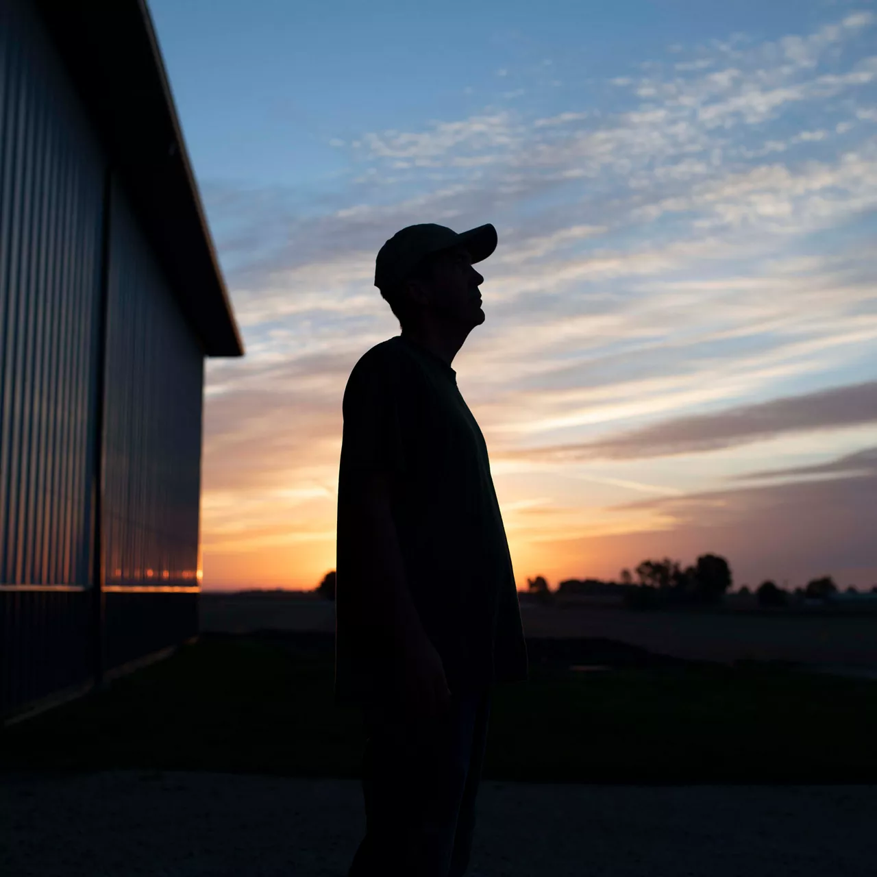 silhouette of farmer looking out