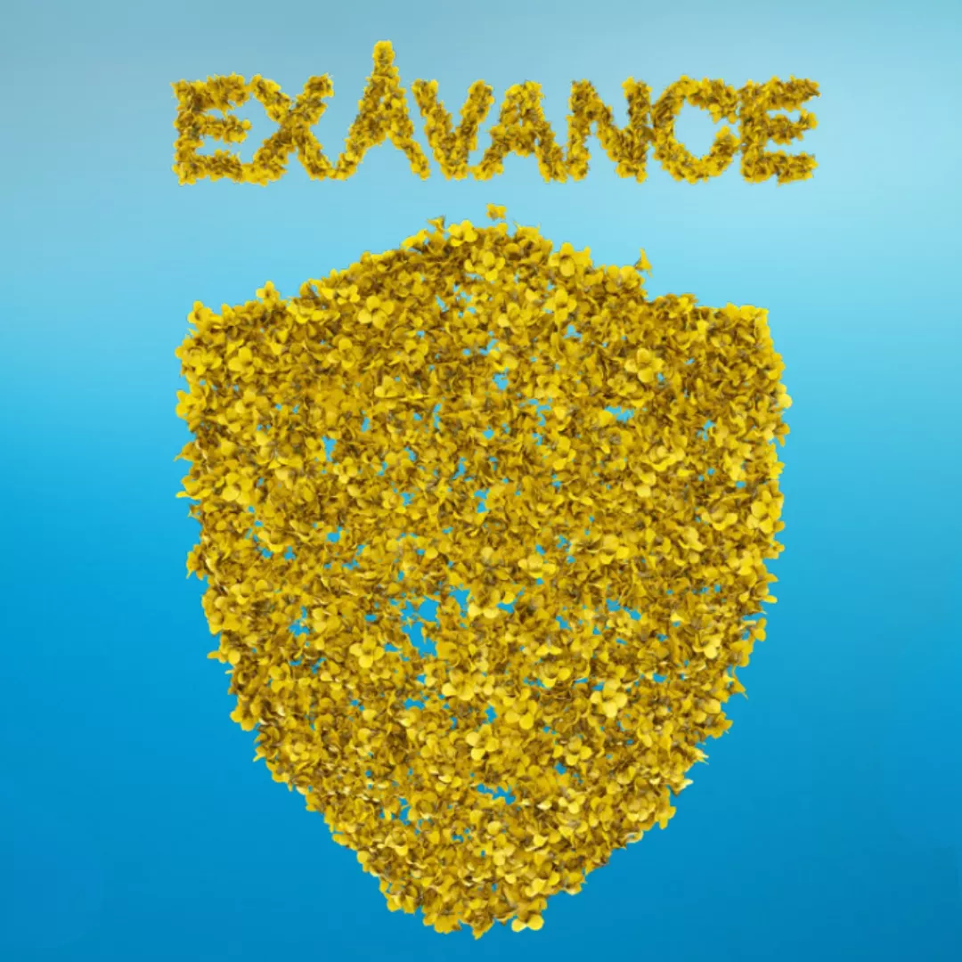 Exavance logo spelled with oilseed rape flowers