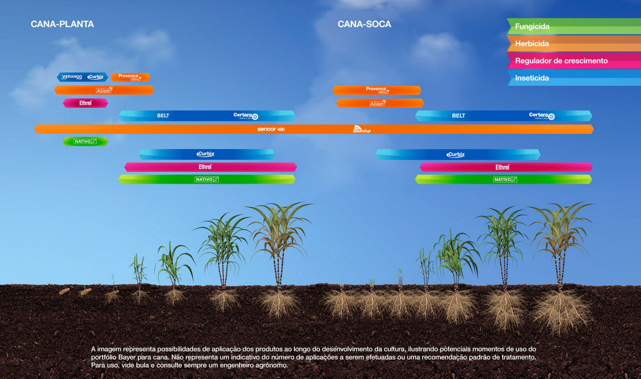 Gráfico de manejo da cana-de-açúcar com aplicação de produtos Bayer em diferentes estágios da lavoura.