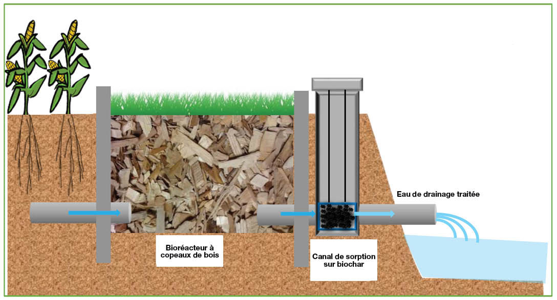  Drainage structure that can be adjusted dependent on the growing season to lift or lower the water table
