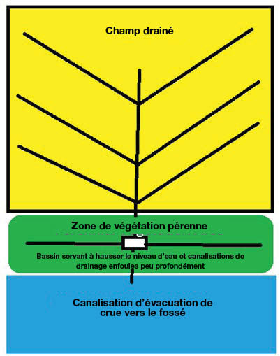 Drainage structure that can be adjusted dependent on the growing season to lift or lower the water table