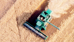 Vue aérienne d'un champ de soya en train d'être récolté par une moissonneuse-batteuse.    