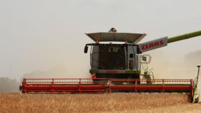 Moissonneuse-batteuse dans un champ de soya. 