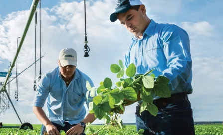 Bayer y UPA: Desarrollo del Sector Agrario