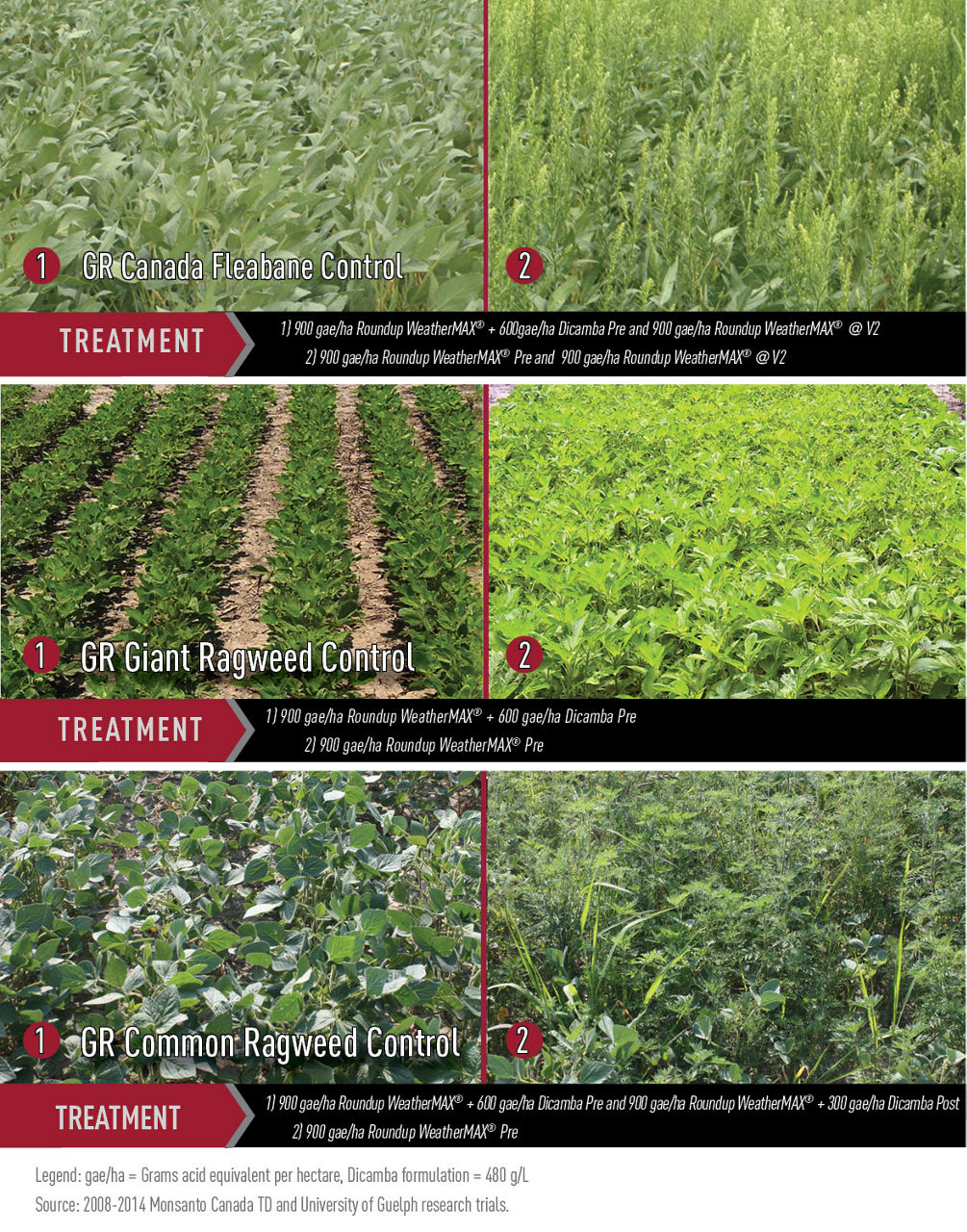 Field Trials Demonstrate Dicamba Efficacy