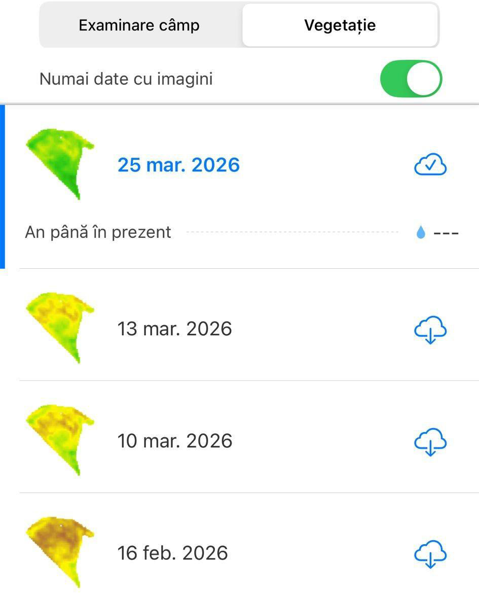 FieldView – hărți de vegetație pentru rapiță, 16 feb–25 mar 2026; culori de la galben/brun la verde indică creștere și uniformizare.