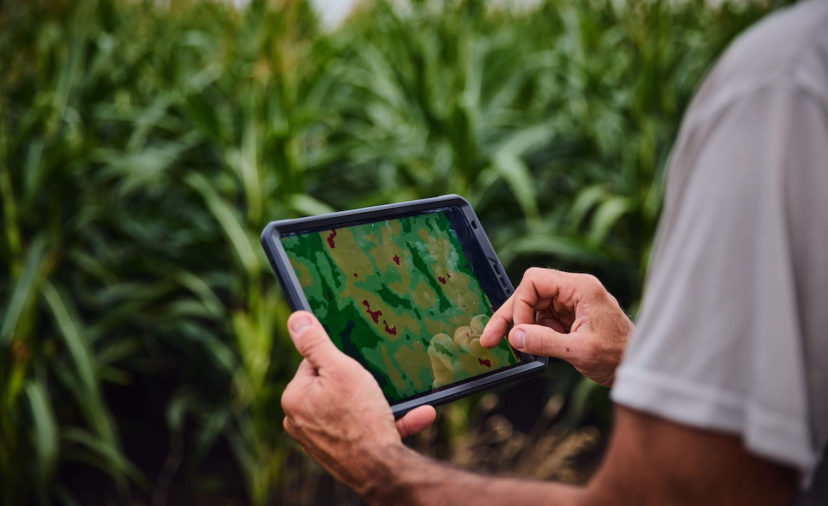 FieldView Plus – 1 Year Subscription