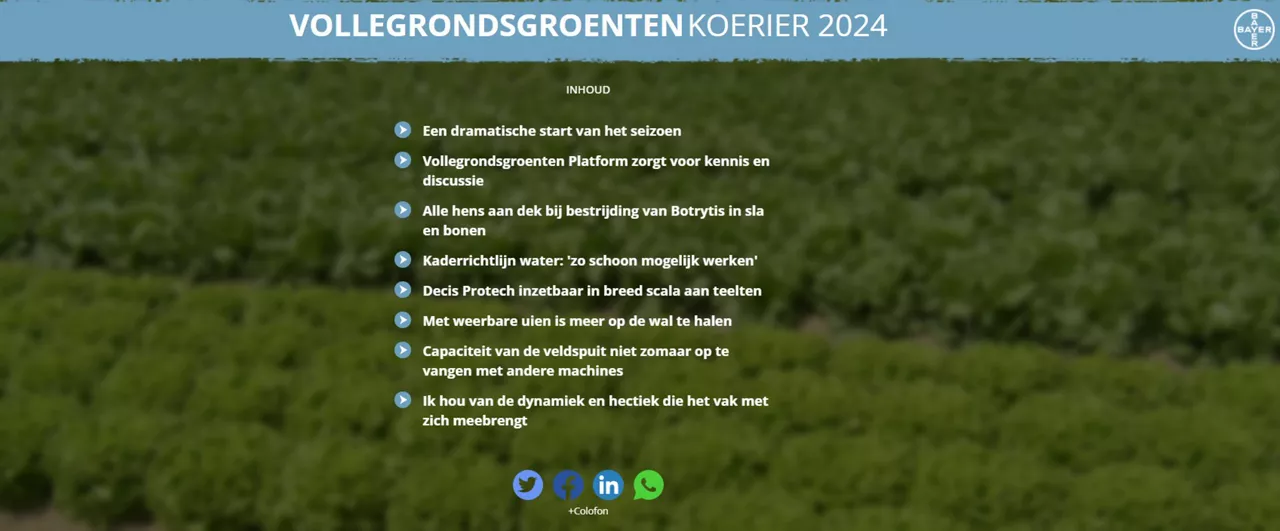 Field_Vegetables_Courier_2024_Rich_Text_Editor.jpg