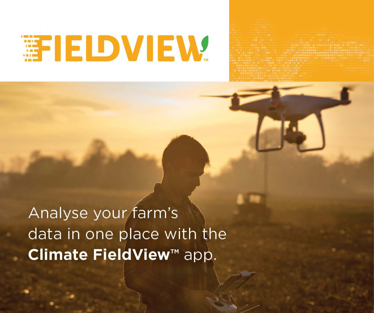 FieldView