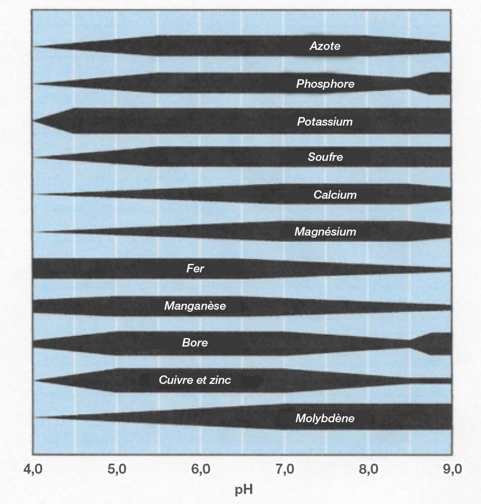 Disponibilité des éléments nutritifs selon le pH du sol