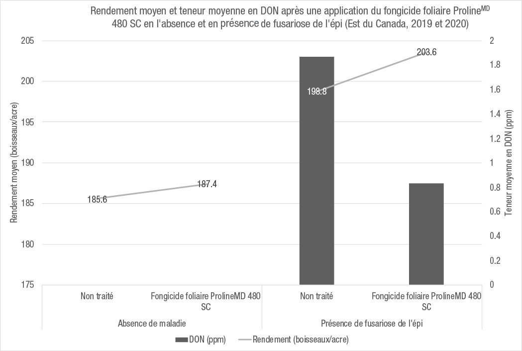 Teneur moyenne en DON et rendement du maïs en fonction de la présence ou de l’absence de fusariose de l’épi
