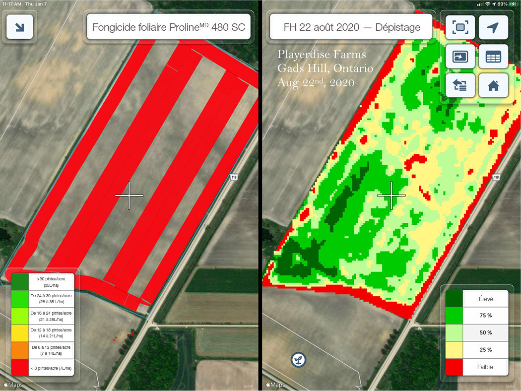 Zones traitées avec le fongicide foliaire Proline 480 SC (à gauche) et incidence estimée de la maladie 