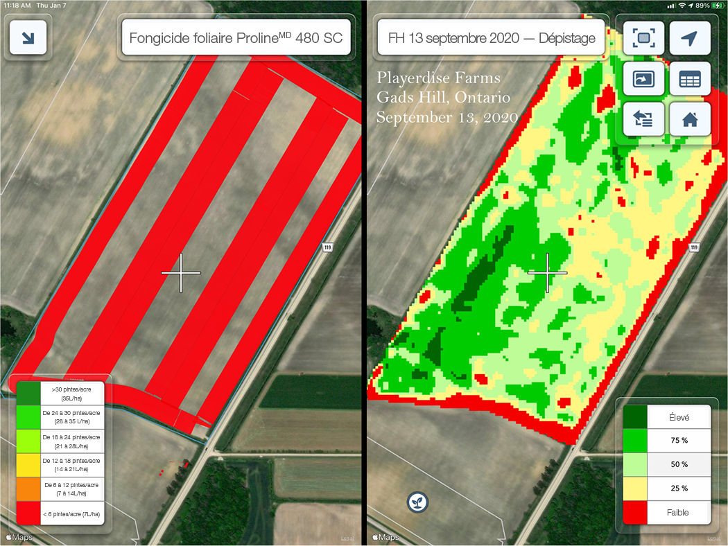 Zones traitées avec le fongicide foliaire Proline 480 SC