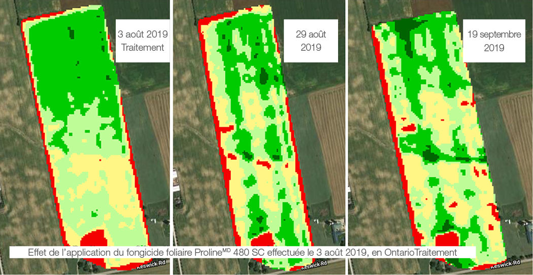 Imagerie de Climate Fieldview comparant l’effet d’une application du fongicide foliaire Proline 