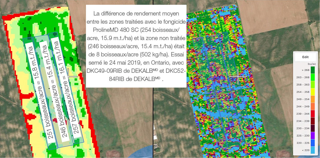  AComparaison du rendement moyen entre les zones traitées avec le fongicide ProlineMD 480 SC et la zone non traitée dans un même champ 