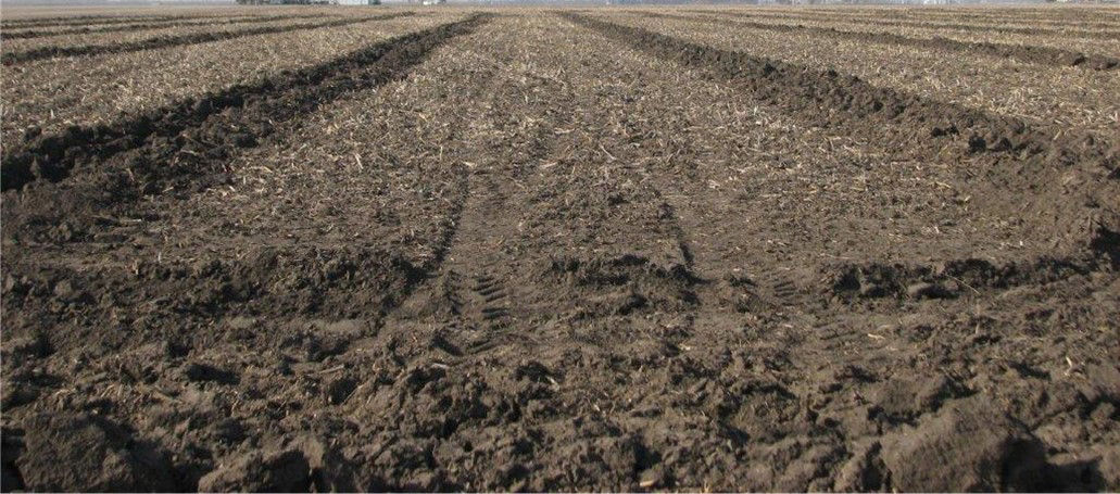 Field with newly installed tile lines