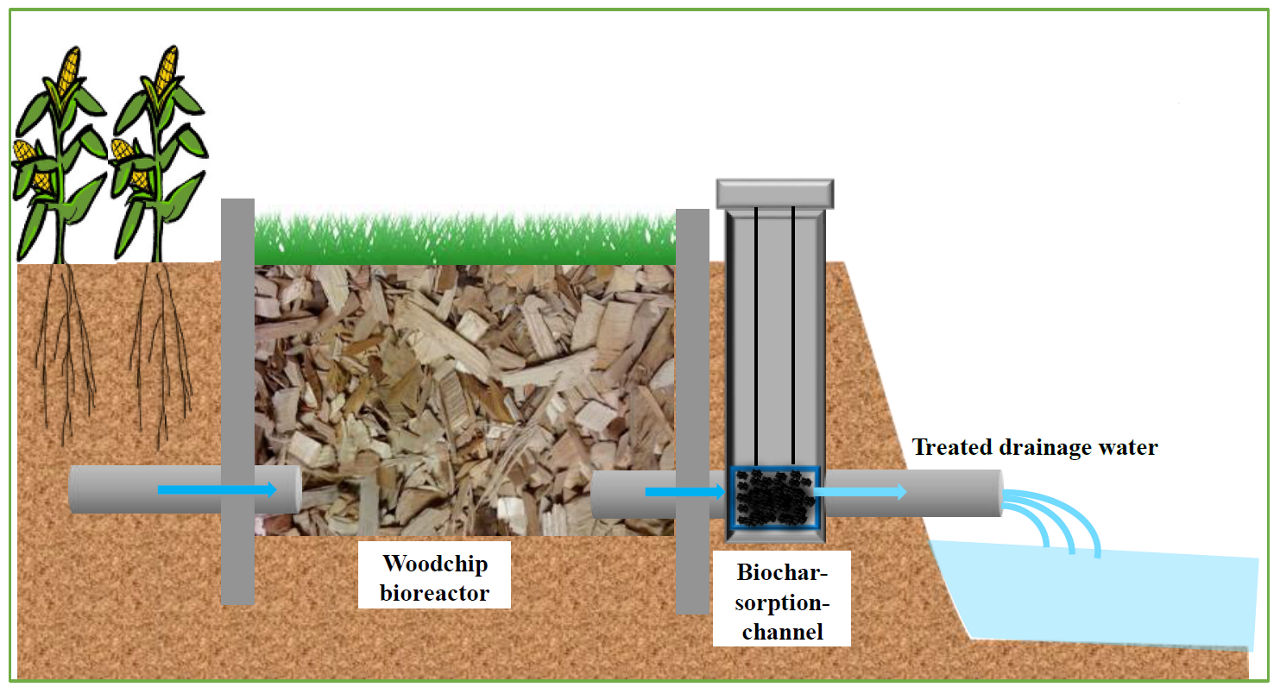 Woodchip and biochar bioreactor.