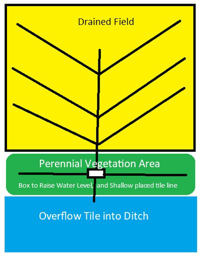 Drainage structure that can be adjusted dependent on the growing season to lift or lower the water table