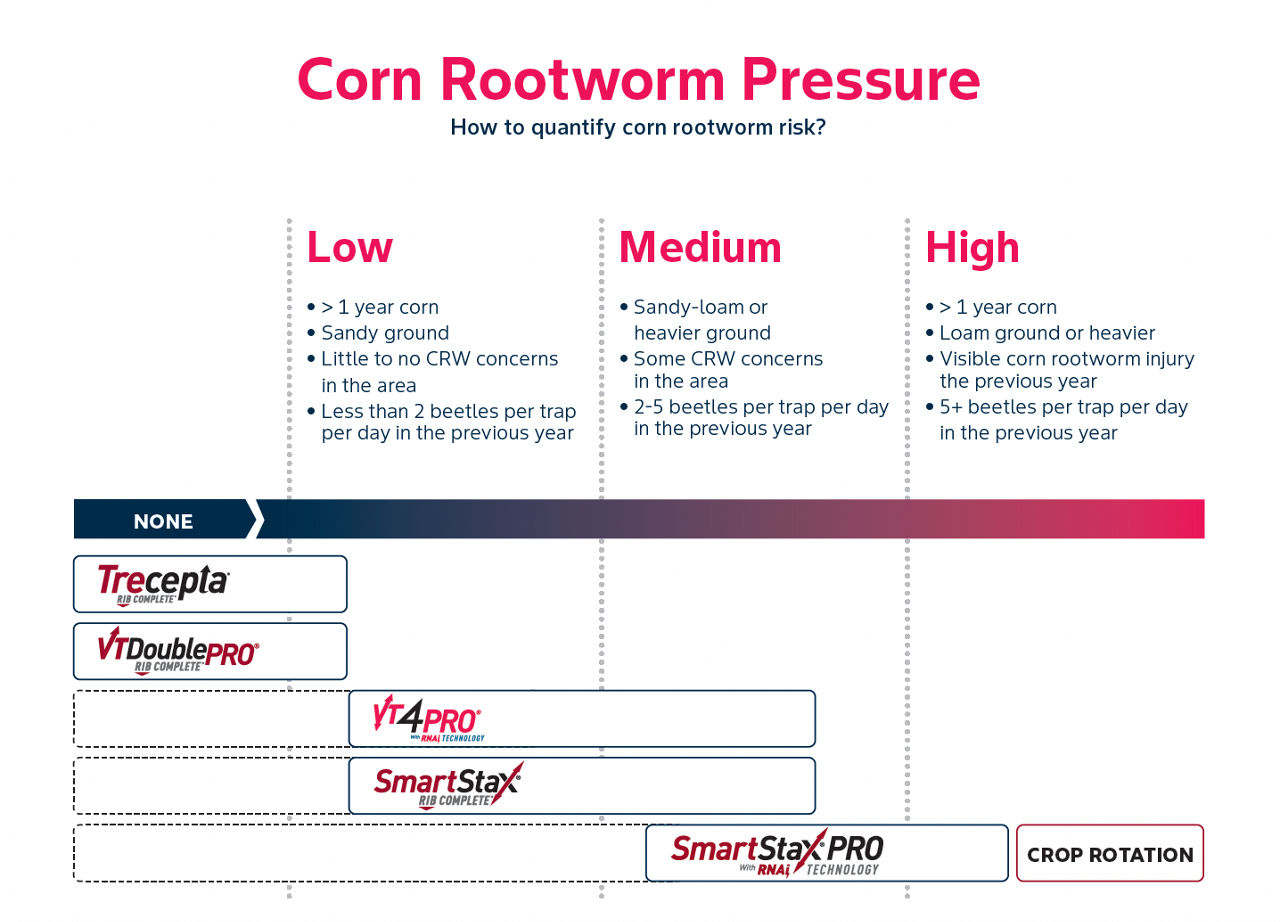 Chart comparing recommended corn rootworm management products across low, medium, and high pressure levels, with product names positioned under each pressure category. 