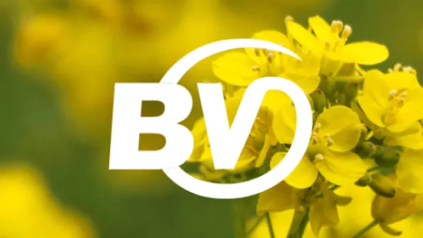 Learn More about BayerValue Rewards