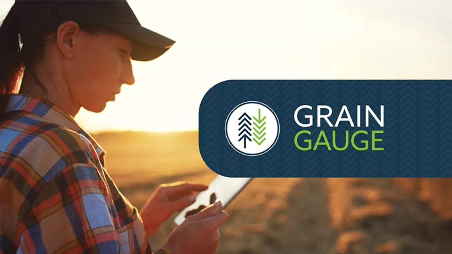 Grain Gauge