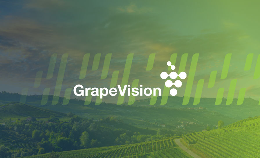 GrapeVision