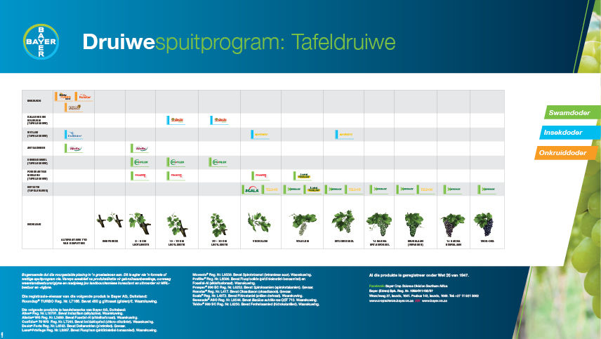 Druiwespuitprogram