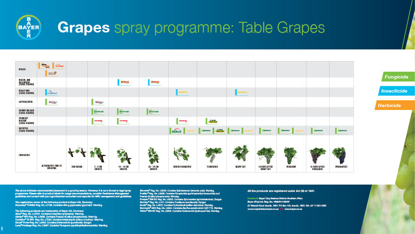 Grapes Spray Programme