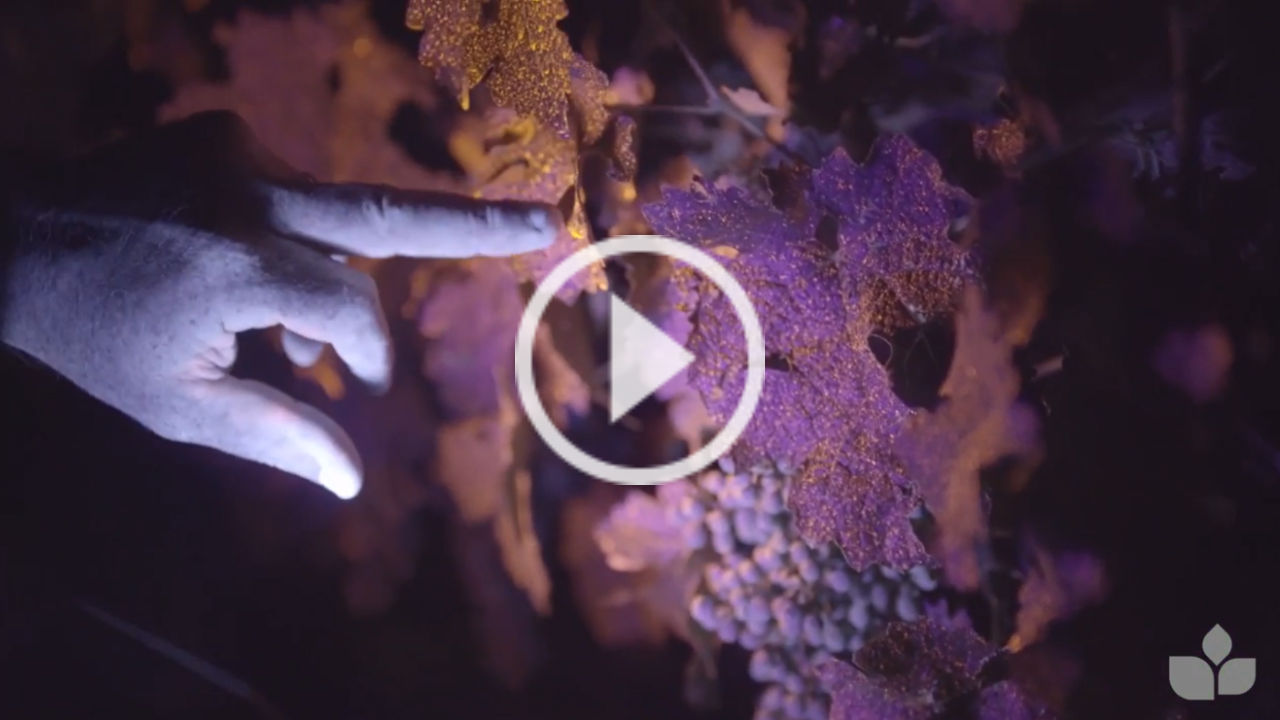 Grower's Edge teams up with Silvan Sprayers to provide insight on techniques to get the best out of your sprayer and spray application.