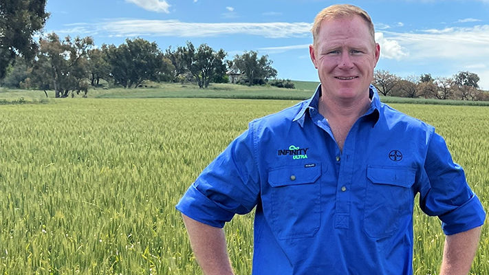 Angus MacLennan - Mateno Complete Trial