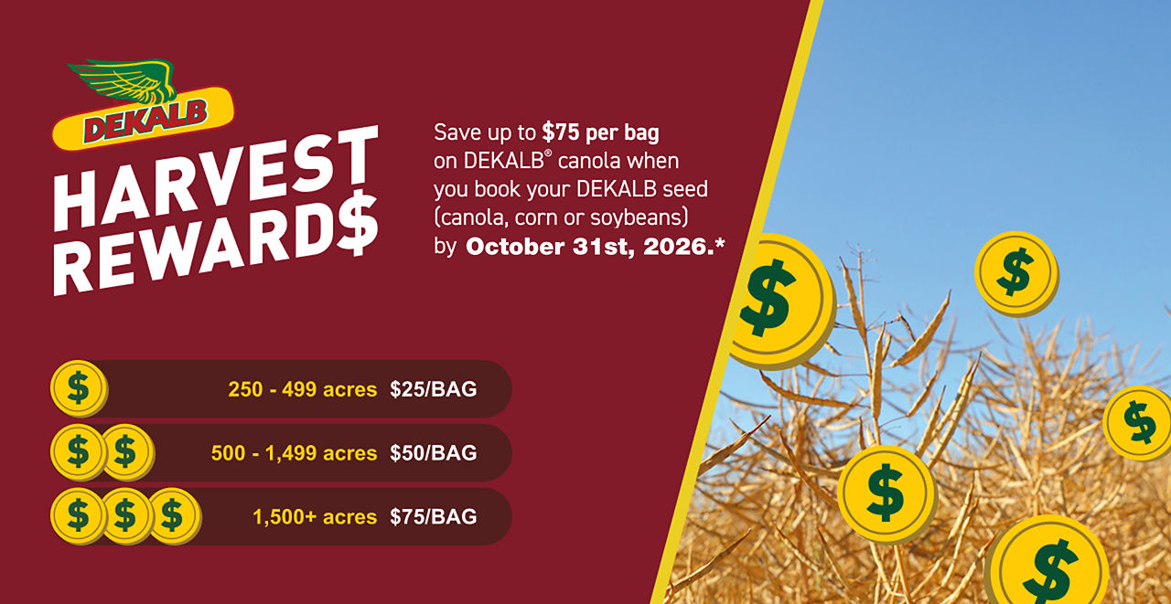 DEKALB Harvest Rewards promotional banner. Text states: 'Save up to $75 per bag on DEKALB canola when you book your DEKALB seed (canola, corn or soybeans) by October 31st, 2026.' Reward tiers are listed as: 250-499 acres, $25 per bag; 500-1,499 acres, $50 per bag; and 1,500+ acres, $75 per bag. The left side features the DEKALB logo and reward details on a burgundy background. The right side shows a canola field under a blue sky with floating gold coin icons displaying dollar signs.