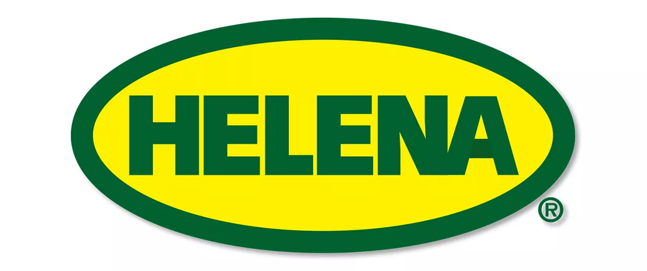 helena ai 360 logo