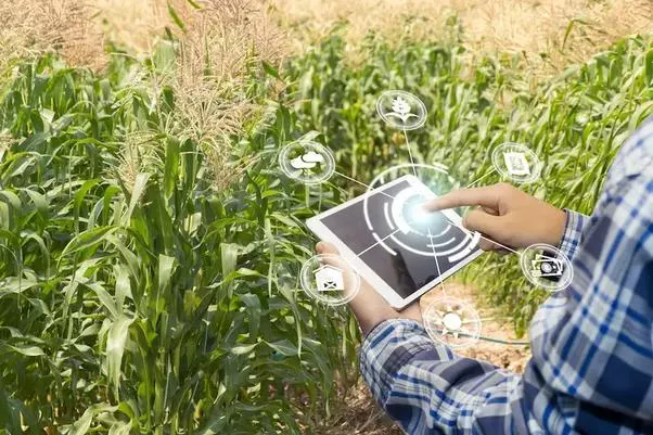 Agricultura digital permite tomada de decisão mais rápida e certeira