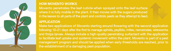 How Movento Works