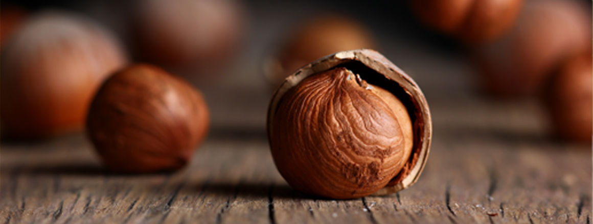 Φουντουκιά