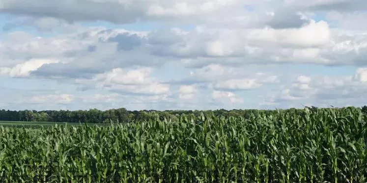Monitoramento da lavoura e a presença de nuvens