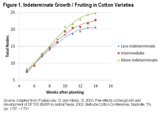 Indeterminate Growth 