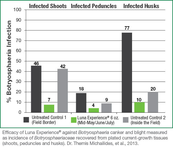 Infected Shoots, Infected Peduncles, Infected Husks