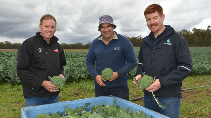Ian Cook, Brad Ipsen and Brad Giles sample the freshly cut Twin Lakes produce.