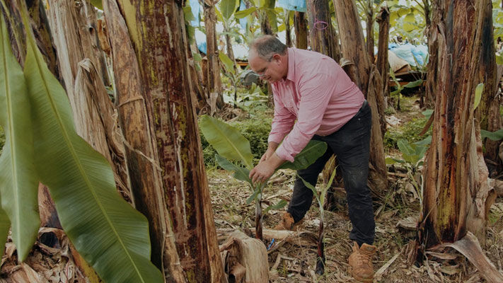 Innisfail Agronomist James Dunn