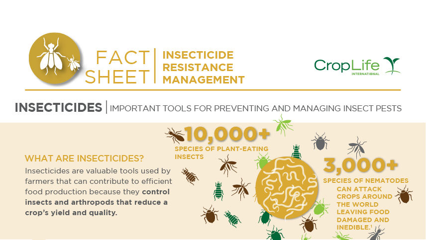 Insecticide Resistance Management