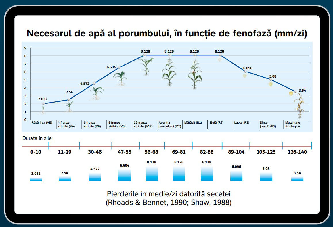 Grafic cu necesarul de apă al porumbului irigat în funcție de fenofază, de la răsărire până la maturitate fiziologică, evidențiind pierderile zilnice cauzate de secetă