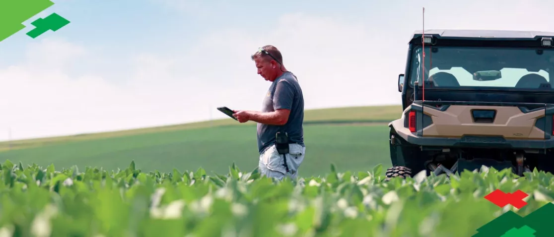 Jerry Seuntjens with iPad in Soybean Field