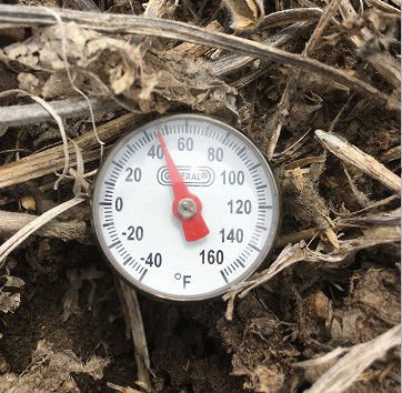 Taking soil temperature under residue