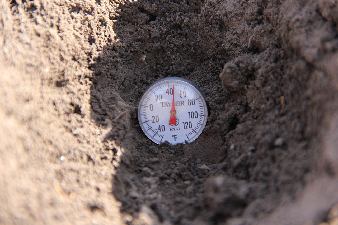 Planting - SoilTemp