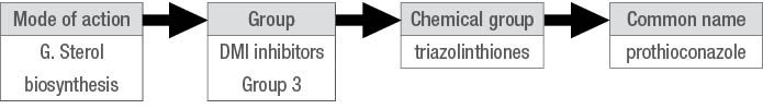 Mode of action, group, chemical group, common name