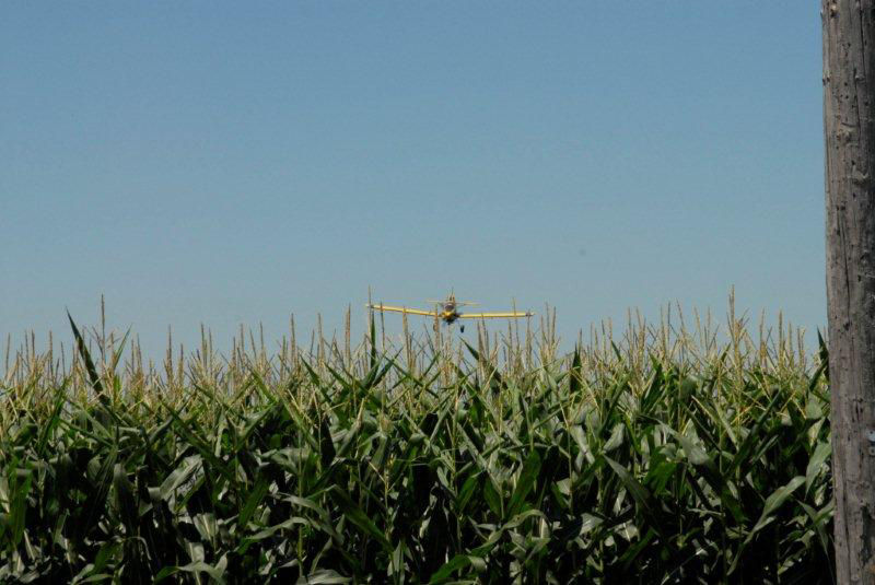 Airplane flying fungicide-corn   