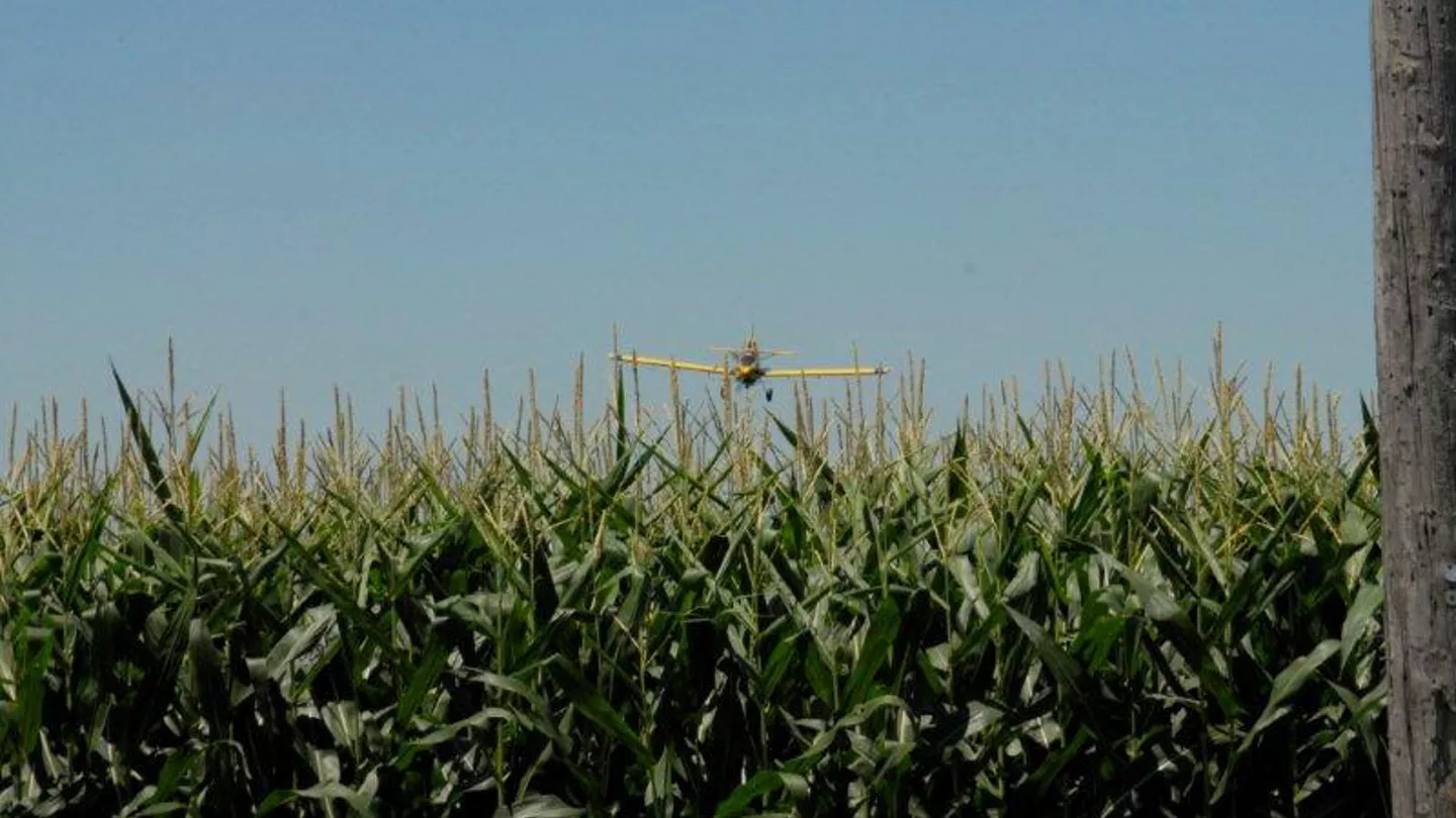 Corn and Soybean Disease Management with Foliar Fungicides