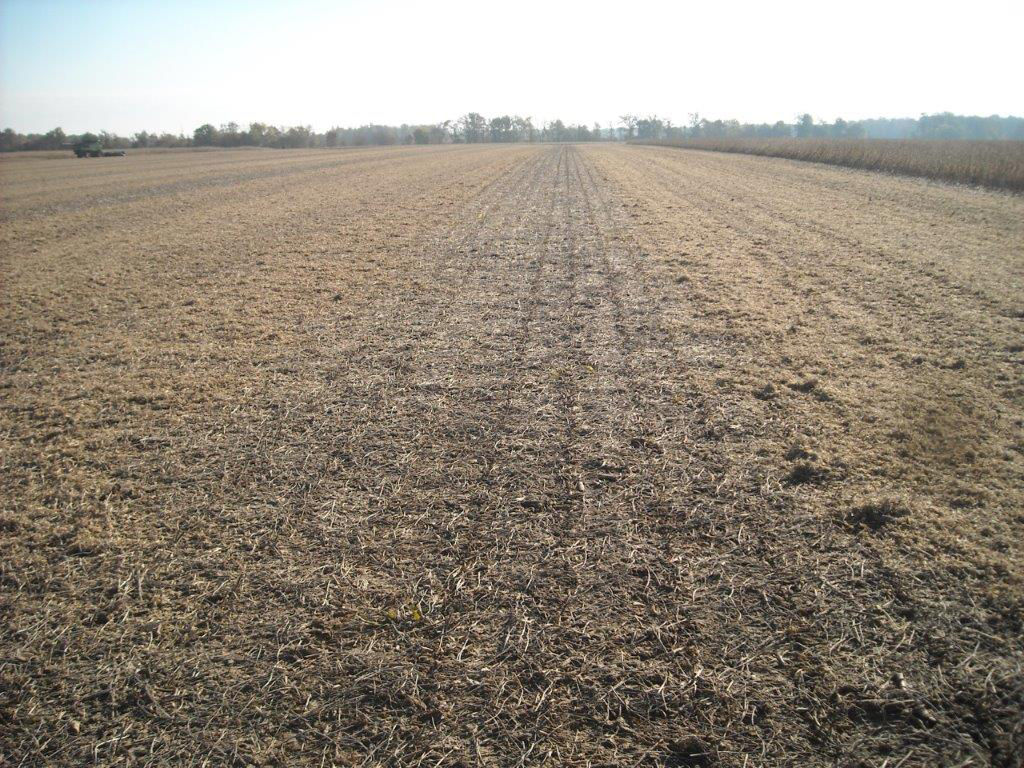 Soybean Residue